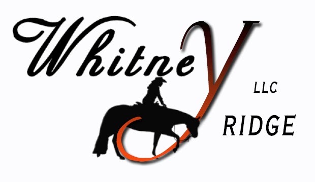 Whitney Ridge Stable | 227 Little City Rd, Higganum, CT 06441 | Phone: (860) 345-3948