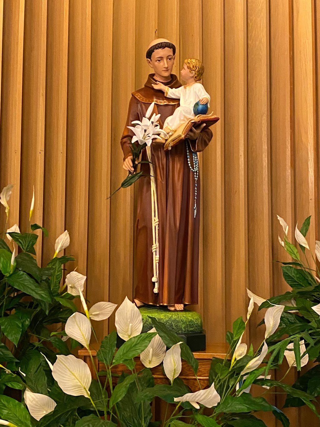 St. Anthony of Padua Parish | 56 St Anthony St, Chicopee, MA 01013 | Phone: (413) 538-9475