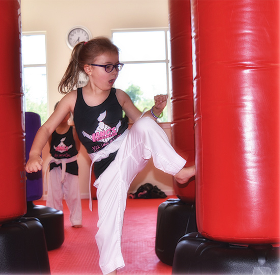 Langs Martial Arts | 2 Huckleberry Hill Rd, Brookfield, CT 06804 | Phone: (203) 312-4140