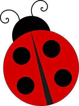 Lady Bug Pest Services | 474 N Ave E, Westfield, NJ 07090 | Phone: (908) 523-9284