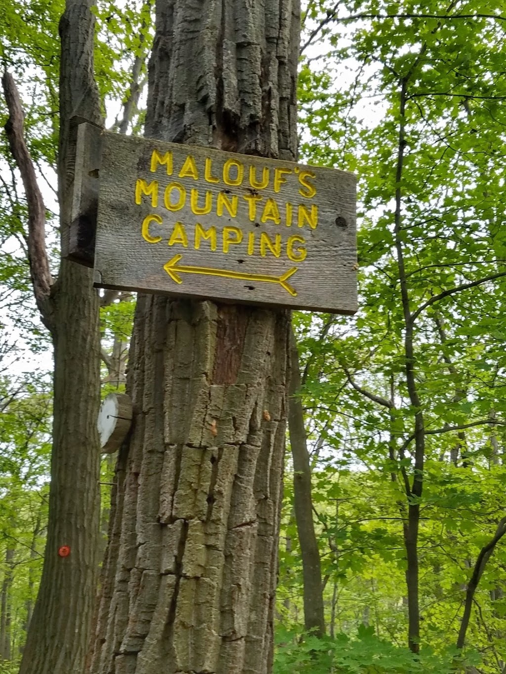 Maloufs Mountain Campground | Fishkill, Ridge Trail, Beacon, NY 12508 | Phone: (845) 831-6767