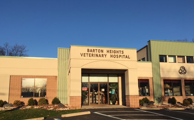 Veterinary Emergency & Referral Hospital | 100 Terrace Dr, Stroudsburg, PA 18360 | Phone: (570) 424-6773