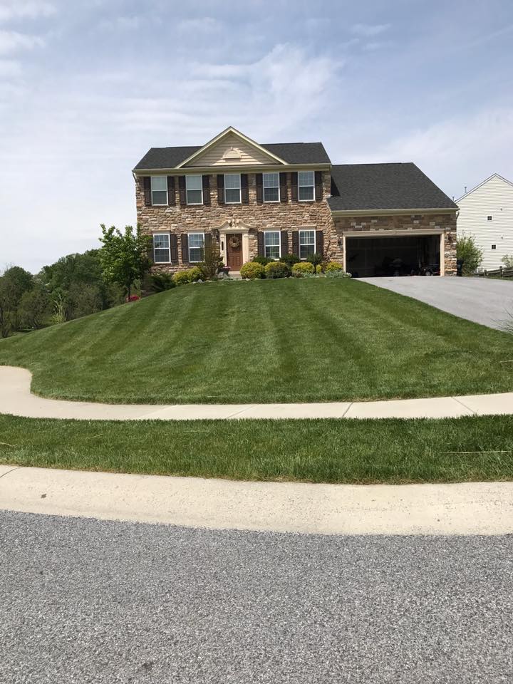 Go Green Lawn and Pest Control | 711 Concord Rd, Glen Mills, PA 19342 | Phone: (610) 915-2578