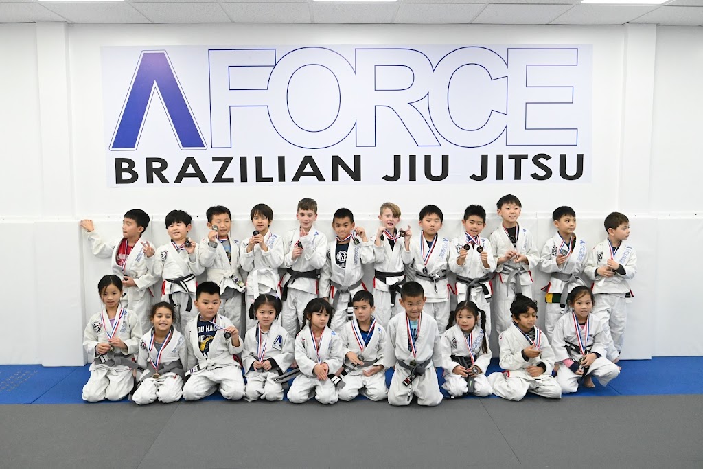 A Force Brazilian Jiu Jitsu Academy | 340 Great Neck Rd, Great Neck, NY 11021 | Phone: (516) 344-7812