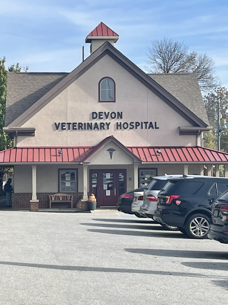 Devon Veterinary Hospital | 81 Lancaster Ave, Devon, PA 19333 | Phone: (610) 688-5224