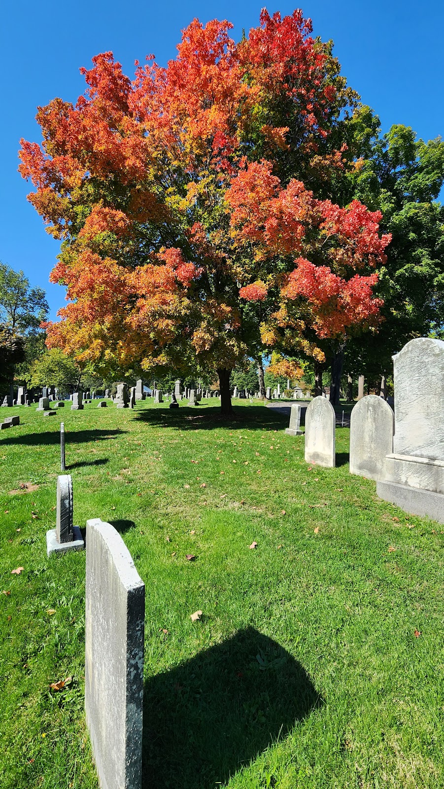 Hazelwood Cemetery | 64 Lake Ave, Colonia, NJ 07067 | Phone: (732) 381-2200