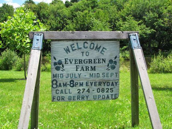 Evergreen Berry Farm, LLC | 435 Bassett Rd, Watertown, CT 06795 | Phone: (860) 274-0825