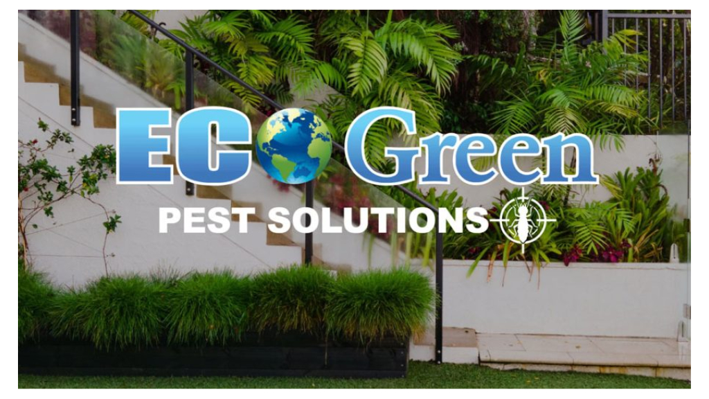 EcoGreen Pest Solutions | 1022 W Germantown Pike #1022B, Eagleville, PA 19403 | Phone: (610) 269-4884