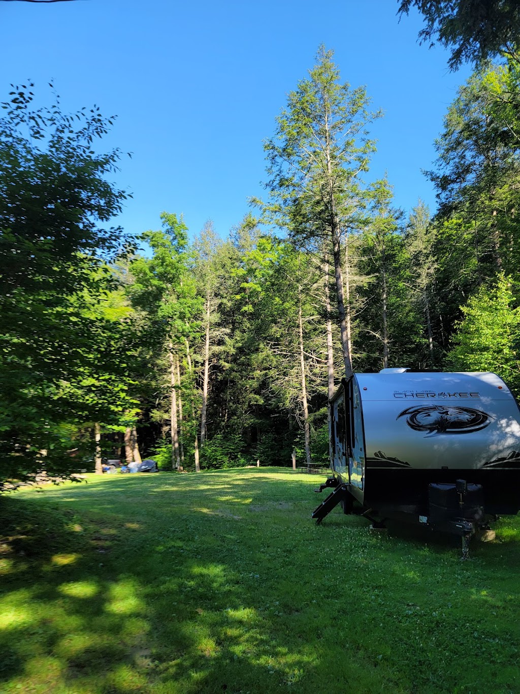 Russell Brook Campsites | 731 Russell Brook Rd, Roscoe, NY 12776 | Phone: (607) 498-5416