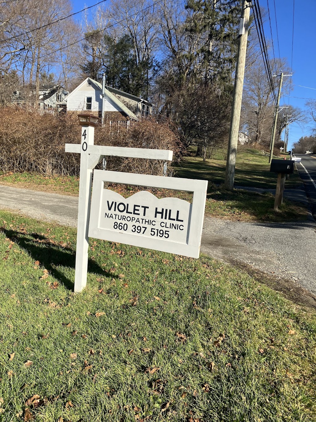 Violet Hill Naturopathic Clinic | 40 Gay St, Sharon, CT 06069 | Phone: (860) 397-5195
