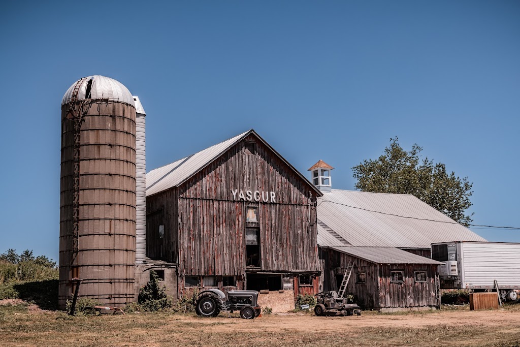 Yasgur Road | 34 Yasgur Rd, Bethel, NY 12720 | Phone: (845) 798-5906