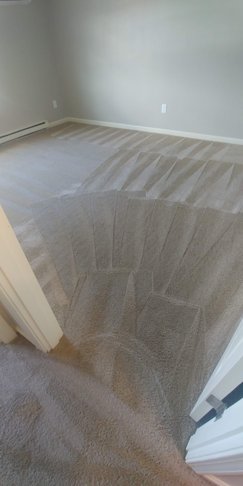 Katt Carpet and Upholstery cleaning | 308 Springdale Rd, Westfield, MA 01085 | Phone: (413) 388-2250