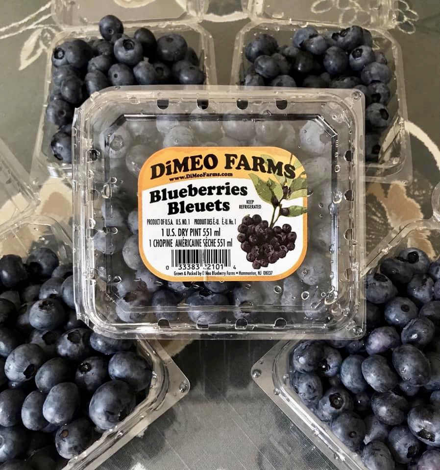 DiMeo Blueberry Farms & Blueberry Plants Nursery | 3101 Nesco Rd, Hammonton, NJ 08037 | Phone: (609) 561-5905