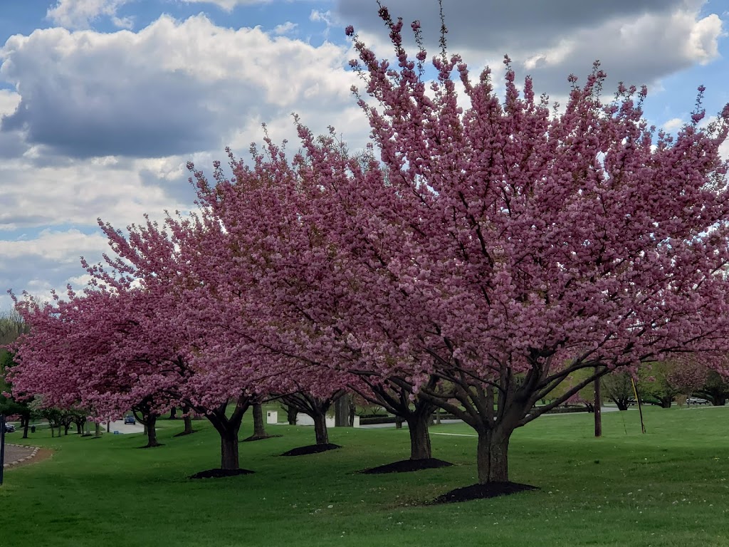 BATTLE OF THE CLOUDS PARK | 133 Phoenixville Pike, Malvern, PA 19355 | Phone: (610) 897-4210