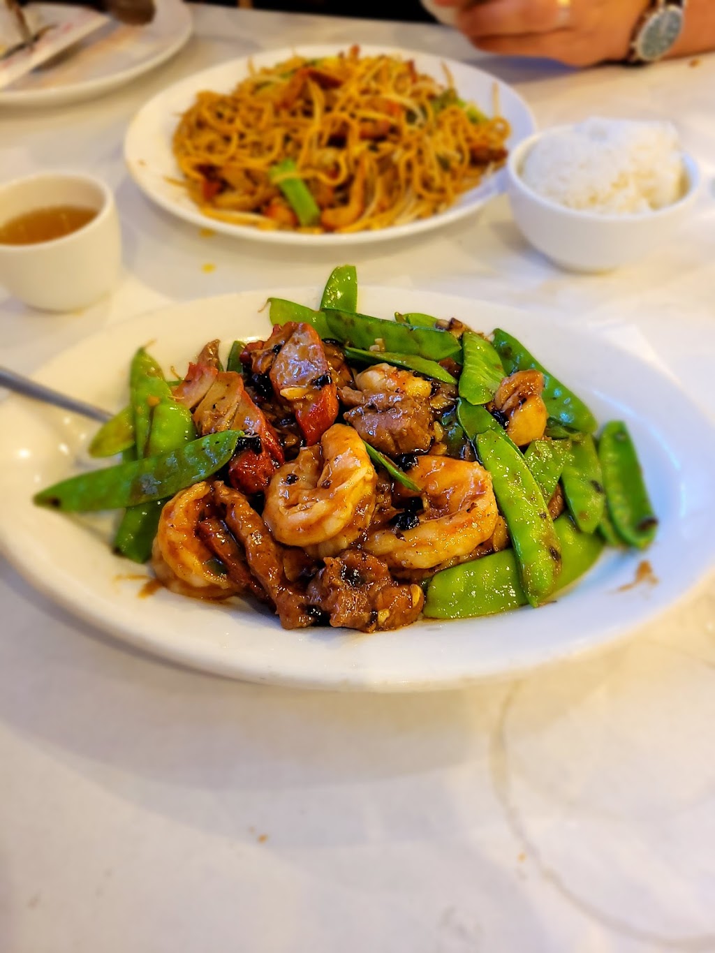 Golden City Chinese Restaurant | 118 Bethlehem Pike, Colmar, PA 18915 | Phone: (215) 822-0299