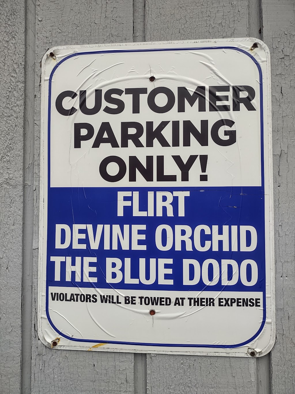 The Blue Dodo | 3547 Whitney Ave, Hamden, CT 06518 | Phone: (203) 535-0902
