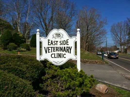 East Side Veterinary Clinic | 785 Paddock Ave, Meriden, CT 06450 | Phone: (203) 235-1622