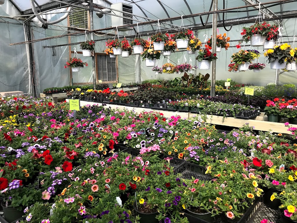 RC Sons Garden Center | 5880 Front St, Easton, PA 18040 | Phone: (610) 252-3830