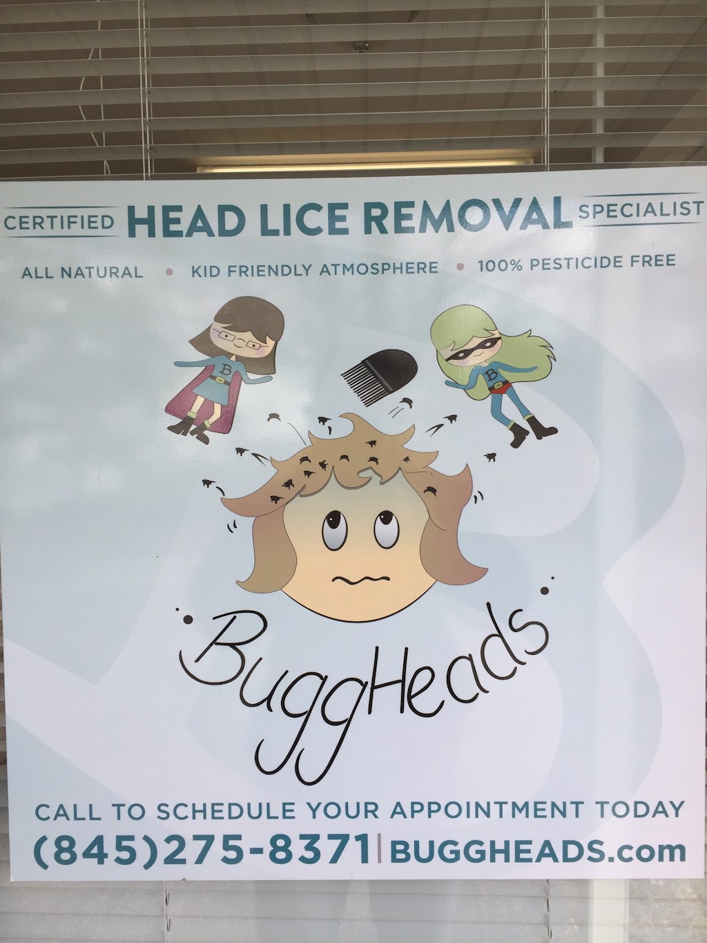 BuggHeads Head Lice Removal Service | 41 Brown Rd, Wappingers Falls, NY 12590 | Phone: (845) 275-8371