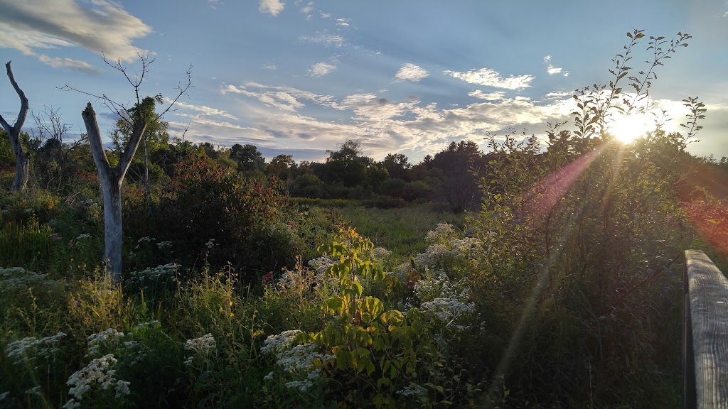 Mass Audubon Canoe Meadows Wildlife Sanctuary | 309 Holmes Rd, Pittsfield, MA 01201 | Phone: (413) 637-0320