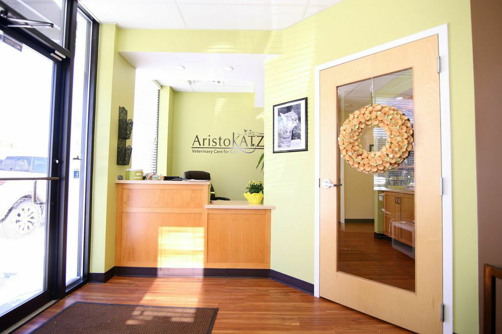 AristoKatz - Veterinary Care for Cats | 530 Kings Hwy Cutoff, Fairfield, CT 06824 | Phone: (203) 690-1099