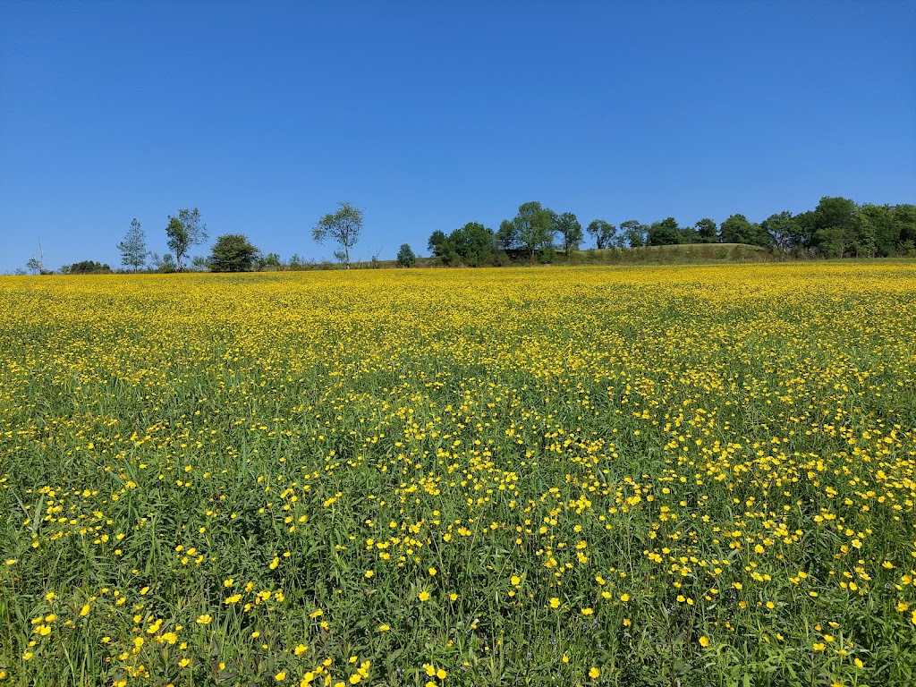 Delaware Highlands Conservancy - Van Scott Nature Reserve | 571 Perkins Pond Rd, Beach Lake, PA 18405 | Phone: (570) 226-3164