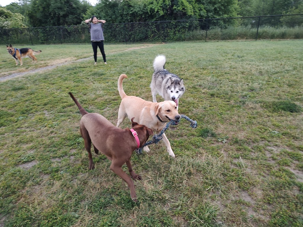 Maple Hill Dog Park | CHV5+R5F, 105 California Ave, Middletown, NY 10940 | Phone: (845) 346-4180