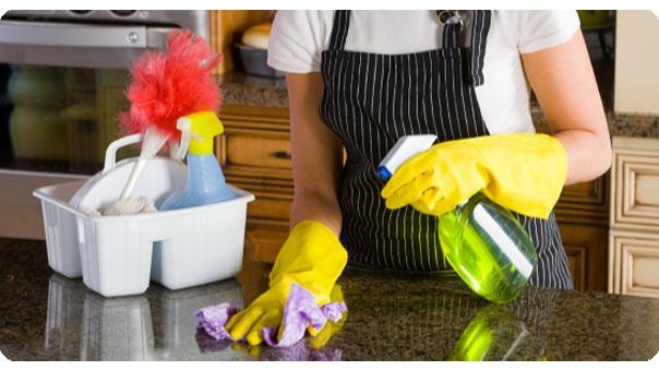 Noel Greens Cleaning Services LLC | 226 Beekman Ave, Sleepy Hollow, NY 10591 | Phone: (877) 837-7783