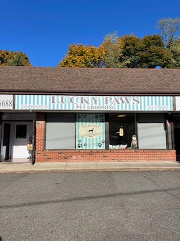 Lucky Paws Pet Grooming | 73 E Main St, Huntington, NY 11743 | Phone: (631) 470-6092