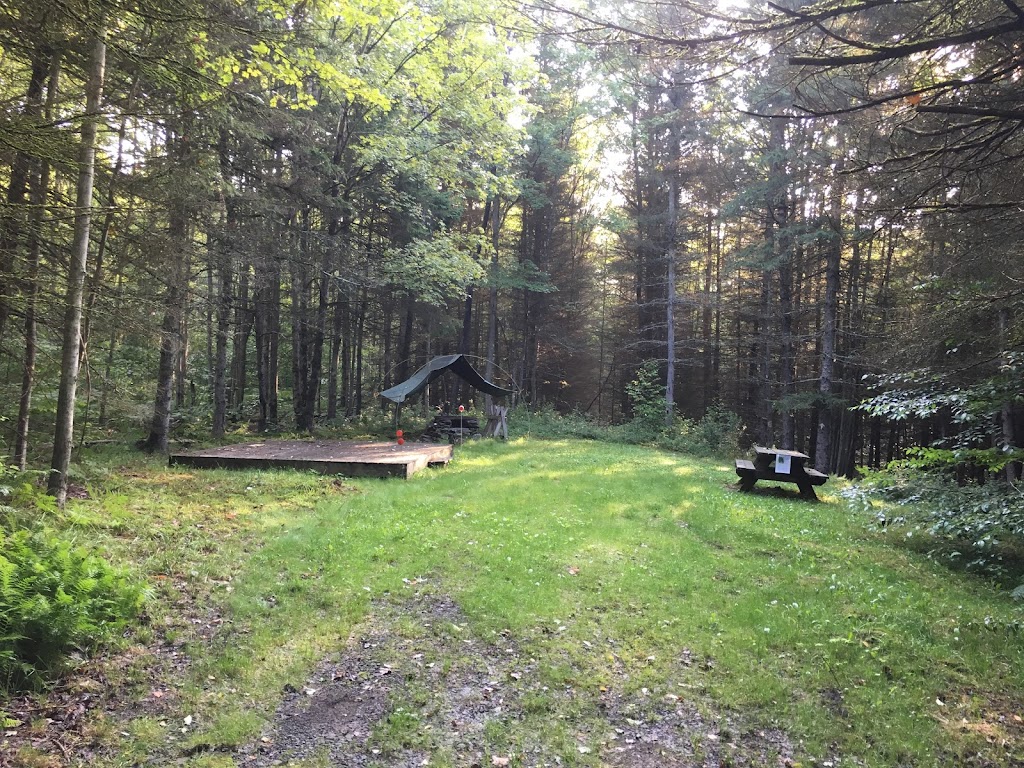 Kingswood Campsite | 1500 Hathaway Pond Rd, Hancock, NY 13783 | Phone: (607) 637-5401