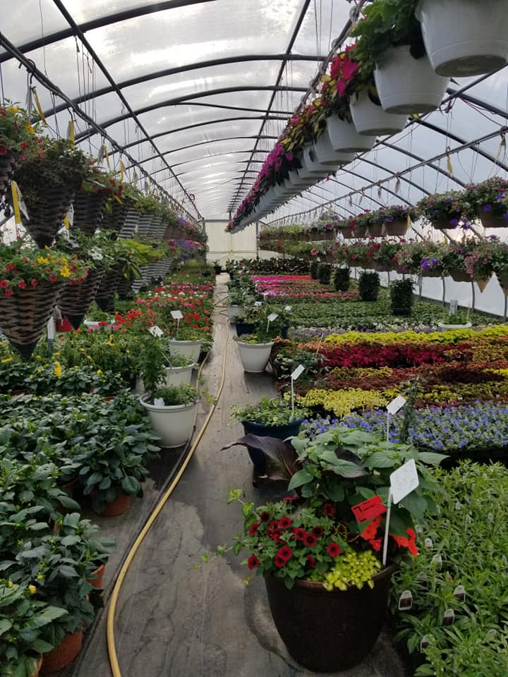 Shoreline Garden Center | 31-A Old Post Rd, Clinton, CT 06413 | Phone: (860) 669-0765