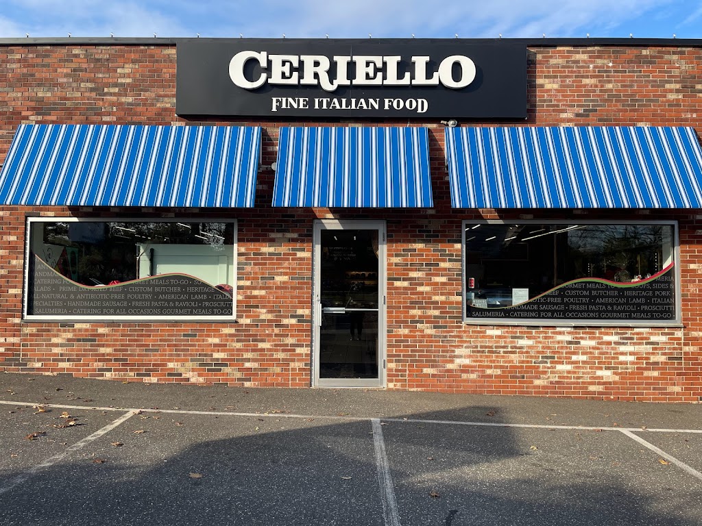 Ceriello Fine Foods | 541 Willis Ave, Williston Park, NY 11596 | Phone: (516) 747-0277
