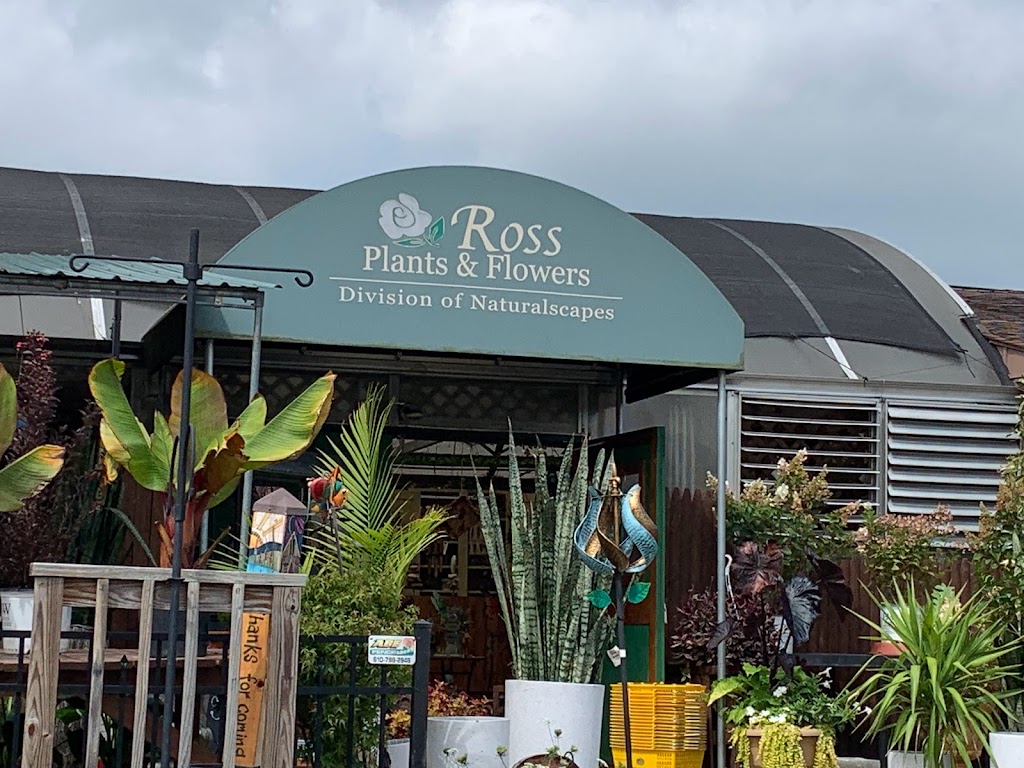 Ross Plants & Flowers | 2704 PA-309, Orefield, PA 18069 | Phone: (610) 395-5193