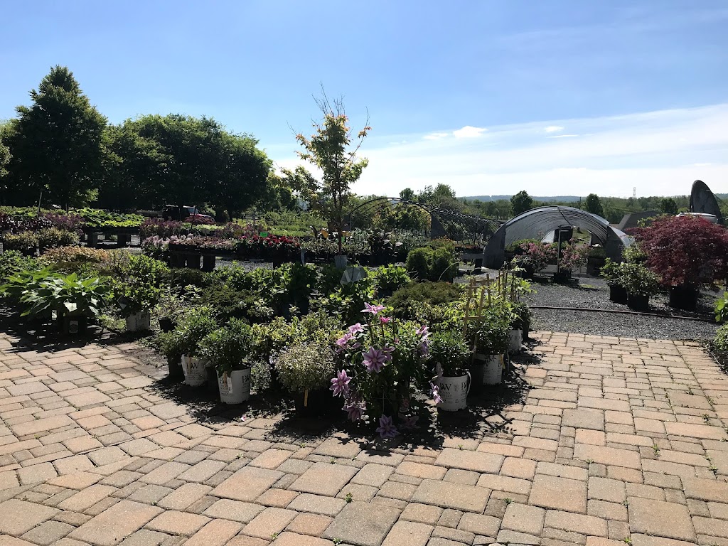 RC Sons Garden Center | 5880 Front St, Easton, PA 18040 | Phone: (610) 252-3830