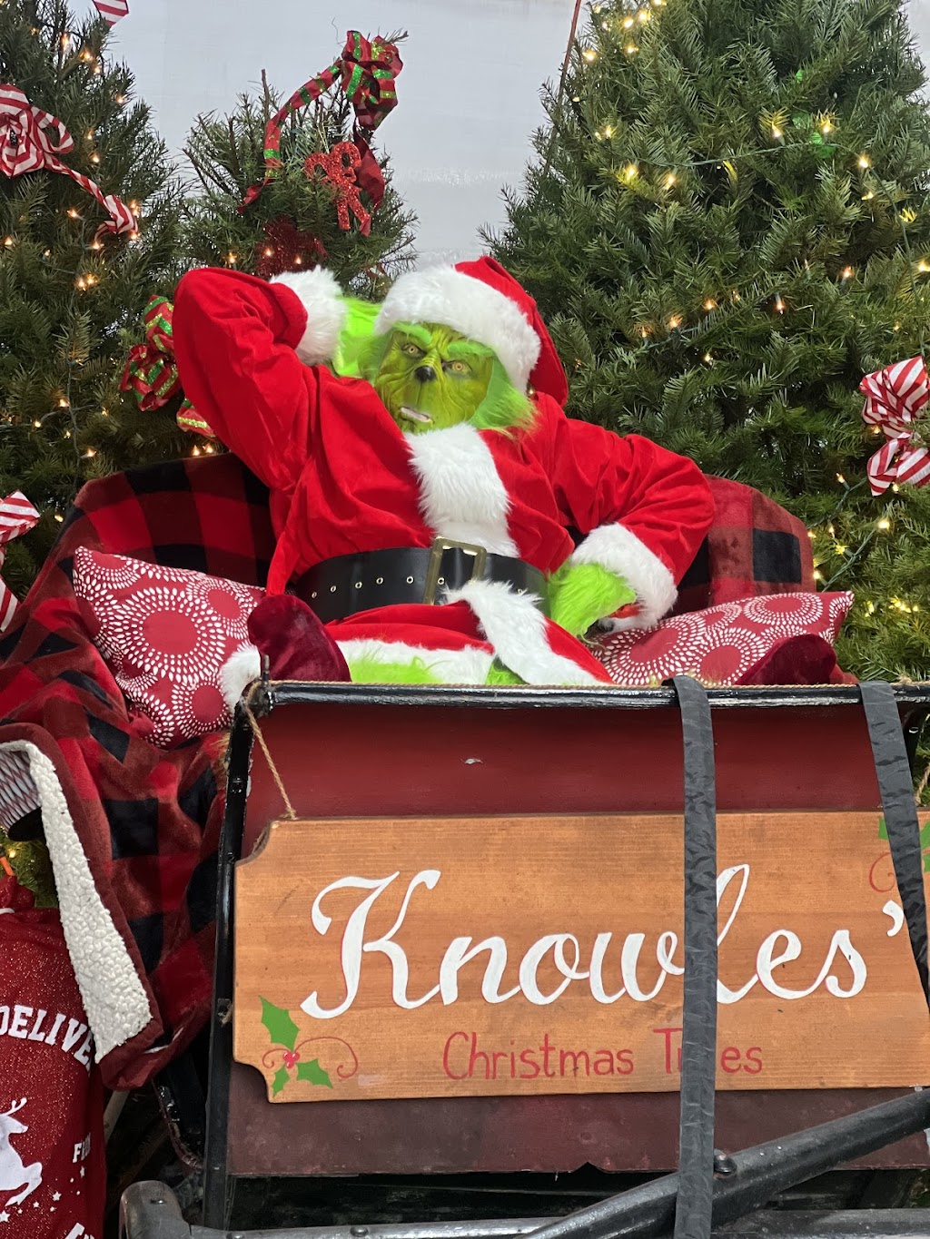 Knowles Christmas Trees and Seasonal Flowers | 5639 Bensalem Blvd, Bensalem, PA 19020 | Phone: (267) 566-6519