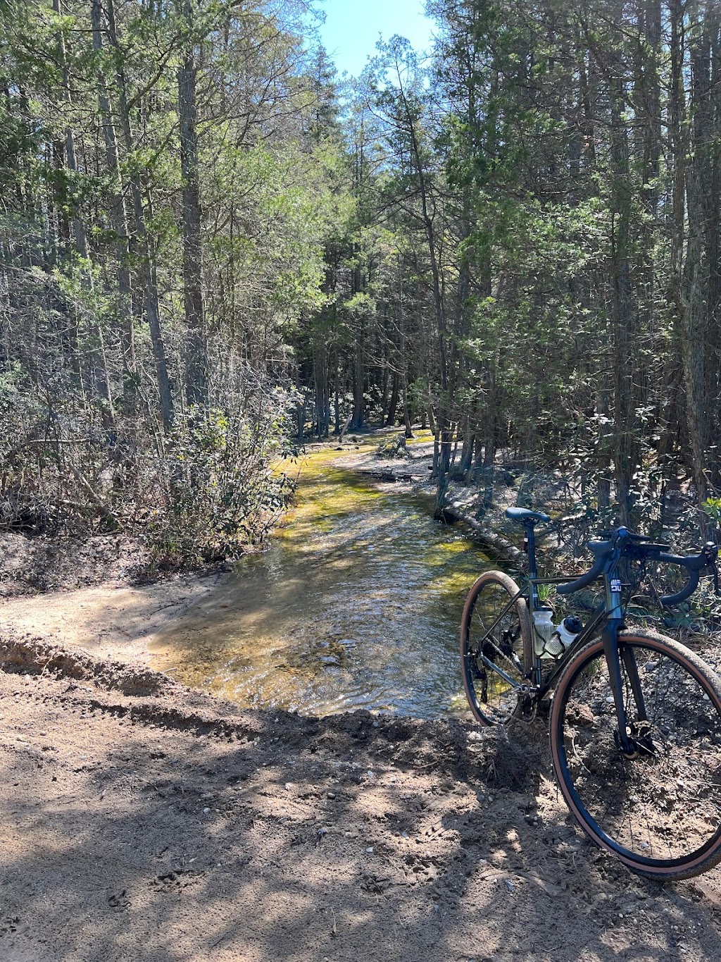 Greenwood Forest Wildlife Management Area | Barnegat, NJ 08005 | Phone: (609) 984-0547