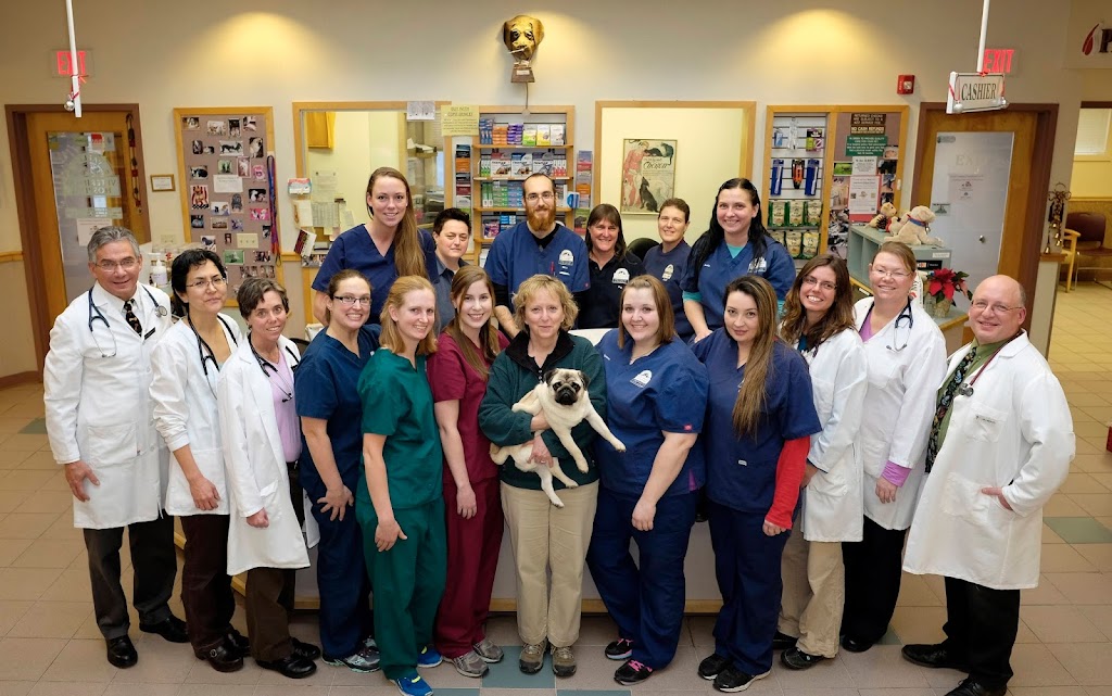 Valley Veterinary Hospital | 320 Russell St, Hadley, MA 01035 | Phone: (413) 584-1223