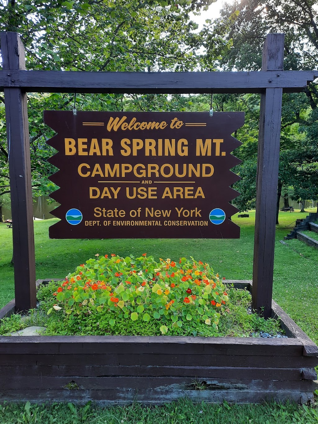 Bear Spring Mountain Campground | 512 E Trout Brook Rd, Downsville, NY 13755 | Phone: (607) 865-6989