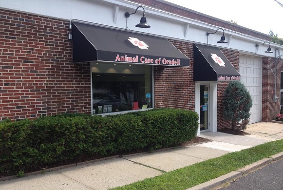 Animal Care of Oradell | 2 Berkshire St, Oradell, NJ 07649 | Phone: (201) 483-9900