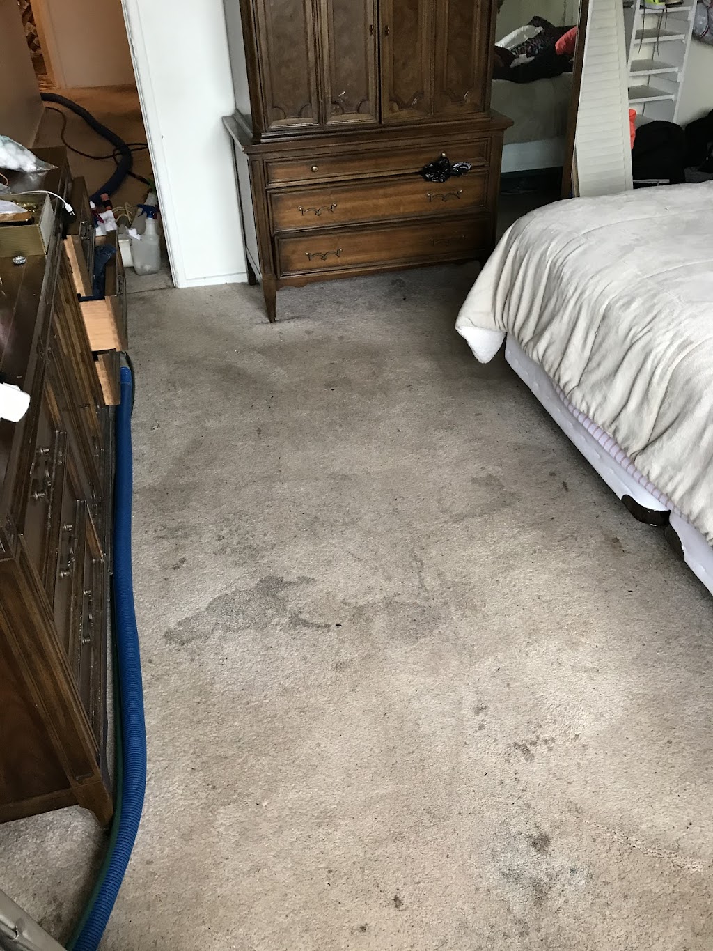 Goldstar Carpet Cleaning | 6 3rd Ave, Port Washington, NY 11050 | Phone: (516) 439-4461