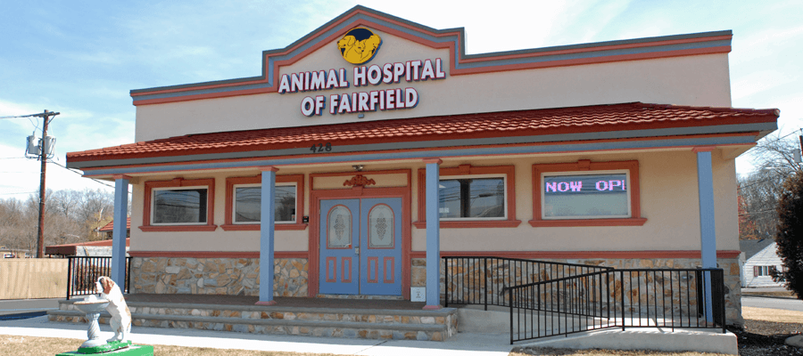 Animal Hospital Of Fairfield | 428 Fairfield Rd, Fairfield, NJ 07004 | Phone: (973) 227-8864