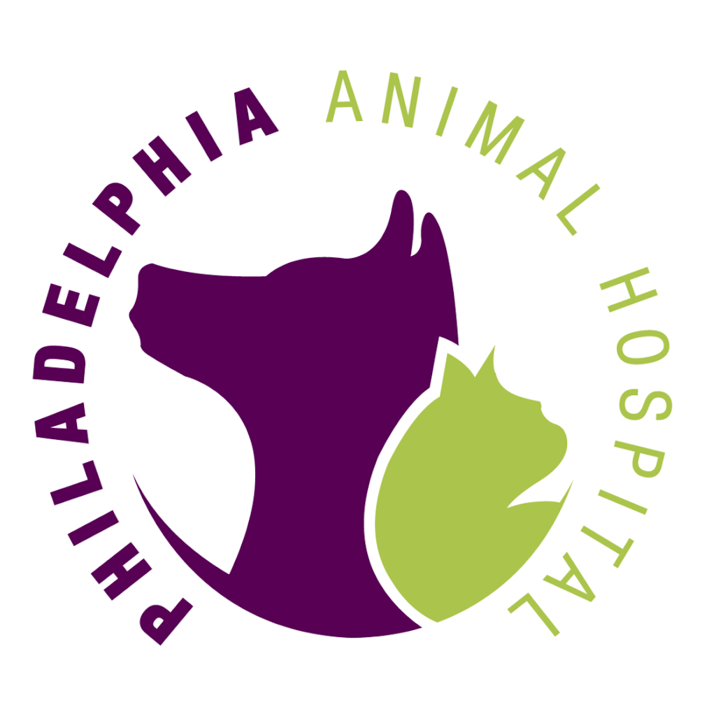 Philadelphia Animal Hospital | 7401 Holstein Ave, Philadelphia, PA 19153 | Phone: (215) 724-5550