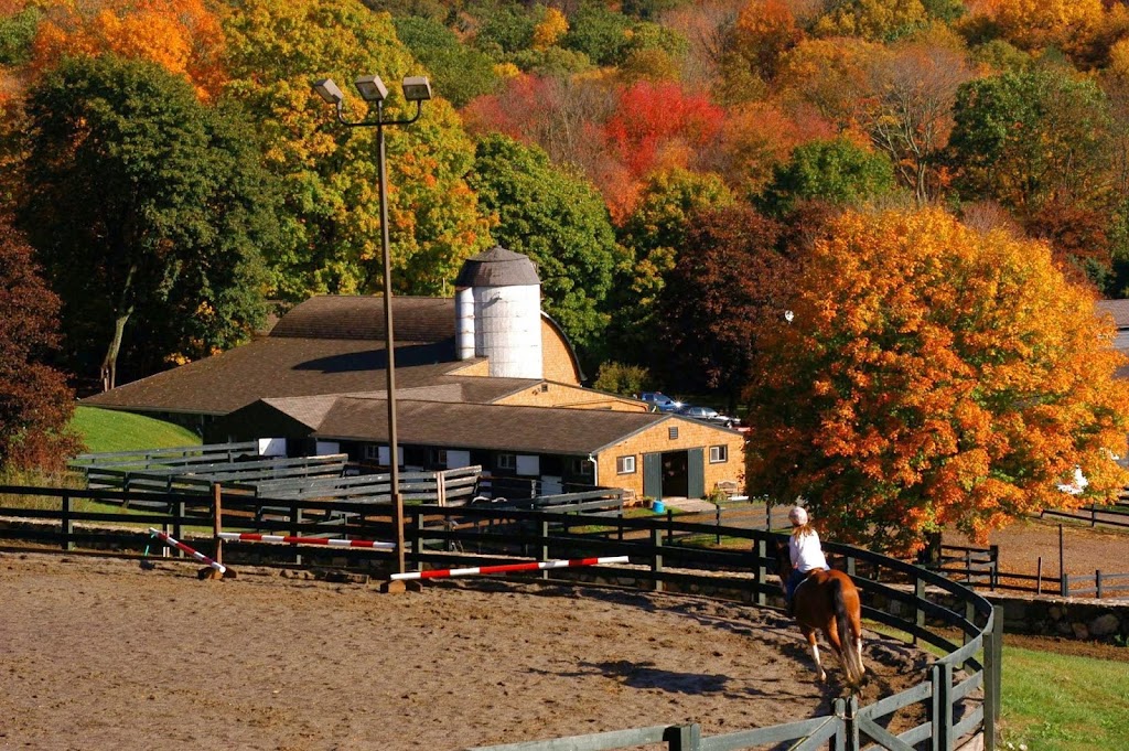 Willow Creek Farm | 522 N Georges Hill Rd, Southbury, CT 06488 | Phone: (203) 405-2727