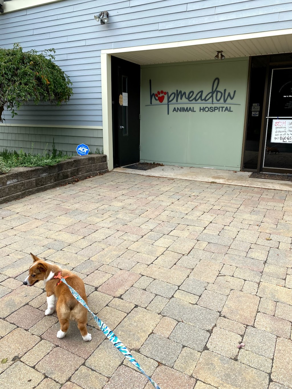 Hopmeadow Animal Hospital | 235 Hopmeadow St, Weatogue, CT 06089 | Phone: (860) 658-1931