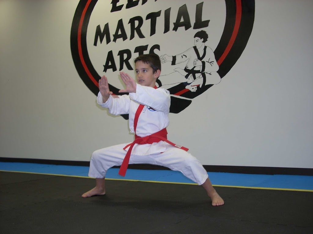 Elite Martial Arts Institute II Karate | 58 Welwood Ave, Hawley, PA 18428 | Phone: (570) 470-1818