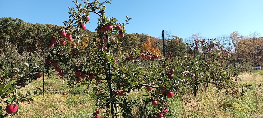 Tree Licious Orchards | 135 Karrville Rd, Port Murray, NJ 07865 | Phone: (908) 852-7191