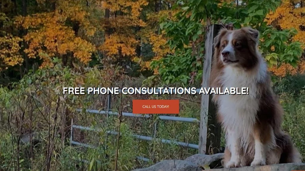 Canine Synergy LLC | 57 Lowe Rd, Wantage, NJ 07461 | Phone: (973) 519-2198