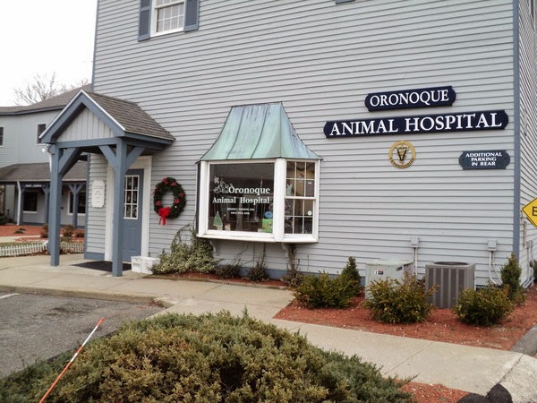 Oronoque Animal Hospital | 88 Ryders Ln, Stratford, CT 06614 | Phone: (203) 378-5229