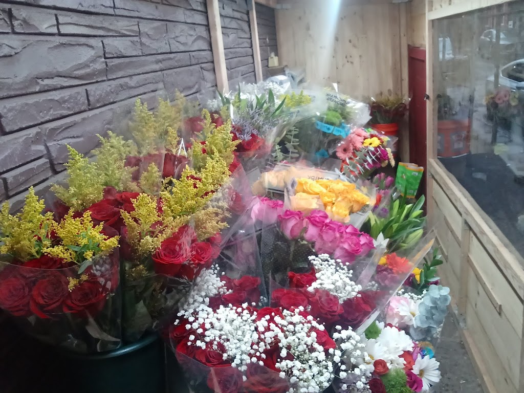 Emely flower shop corp | 240 Sullivan St, New York, NY 10012 | Phone: (646) 427-4049