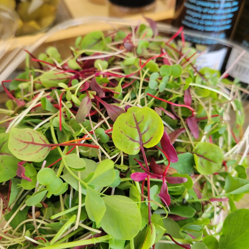 Hudson Valley Microgreens | 305 Titusville Rd Suite A, Poughkeepsie, NY 12603 | Phone: (845) 591-4795